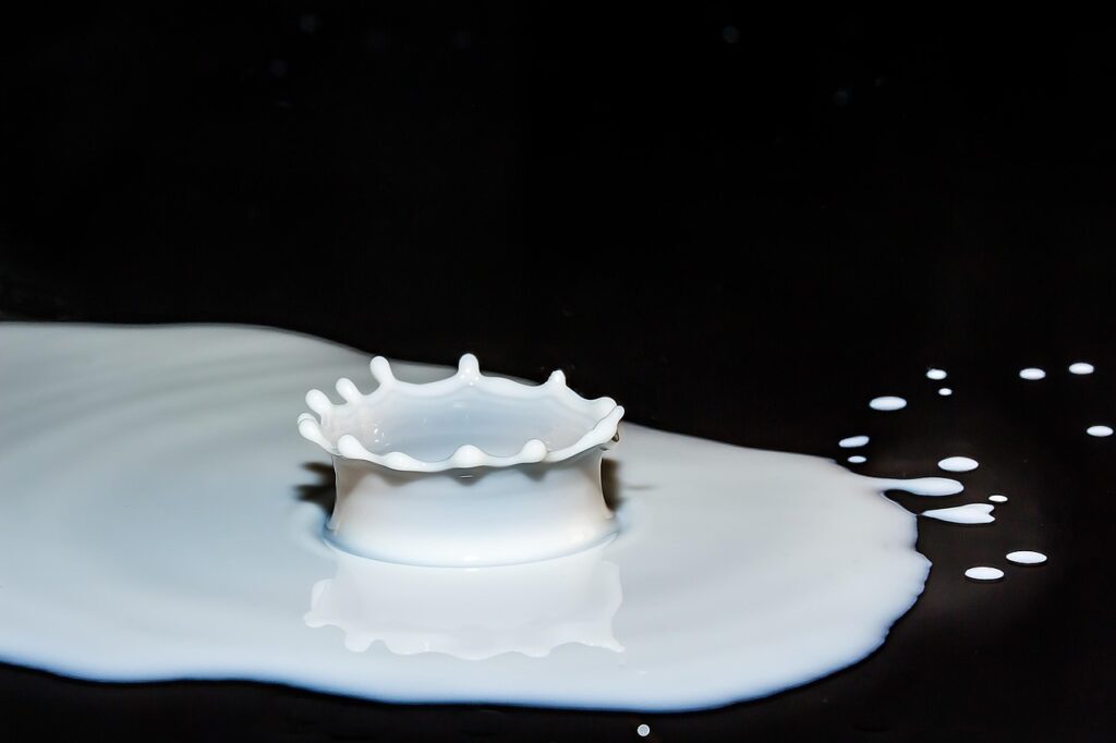 子供の乳製品アレルギーに配慮したおせちはどのように準備すれば良い？